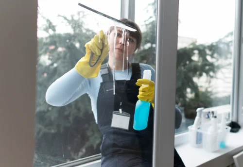 Nettoyage de vitres intérieures et extérieures à Saint-Martin-d'Abbat